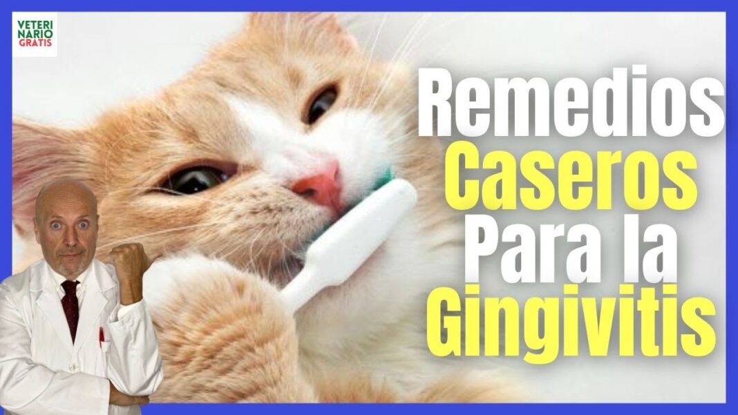 remedio-casero-para-la-higiene-bucal