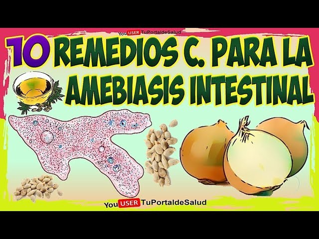 remedios-caseros-para-las-amibas-en-adultos
