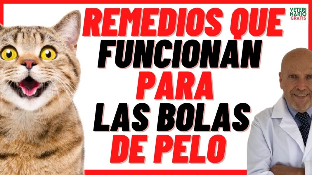 remedios-caseros-para-las-bolas-de-pelo-en-gatos