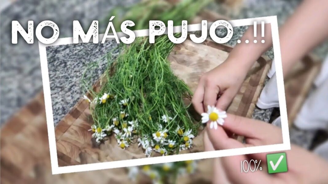 remedios-caseros-para-quitar-el-pujo