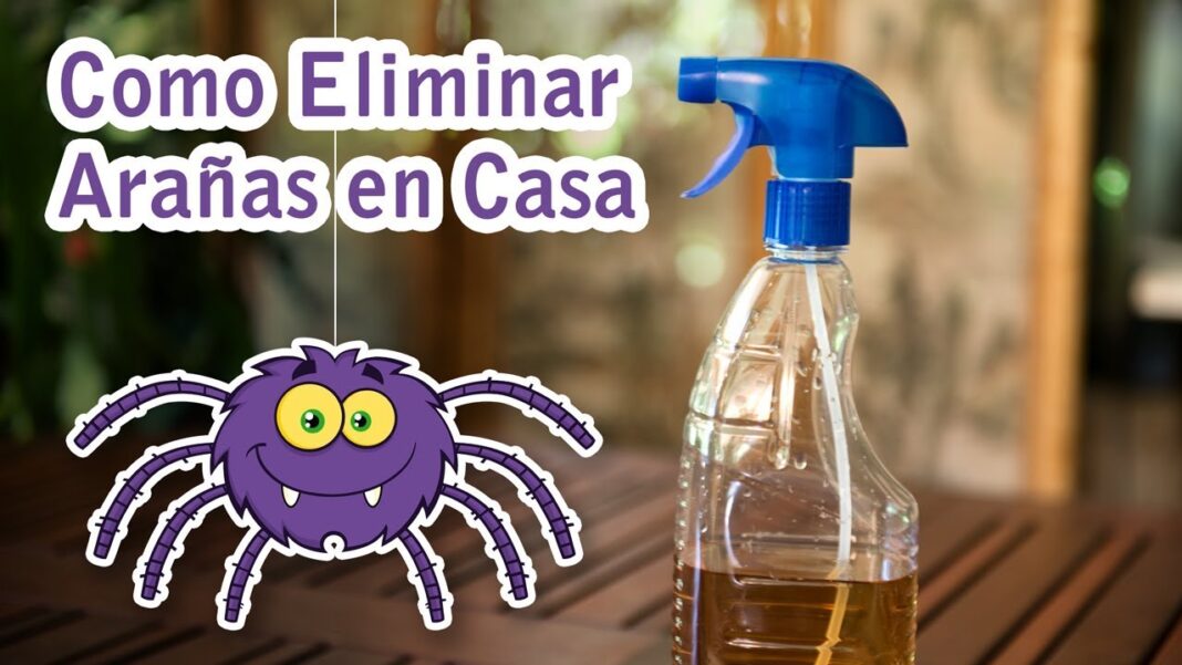 remedio-casero-para-aranas