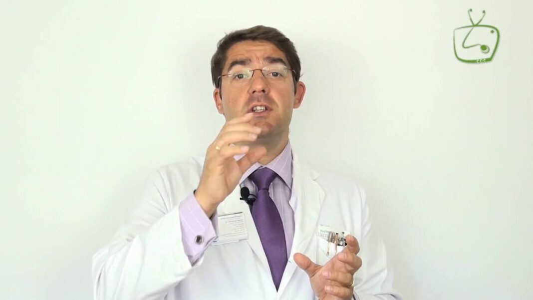 remedio-casero-para-picadura-de-chaqueta-amarilla
