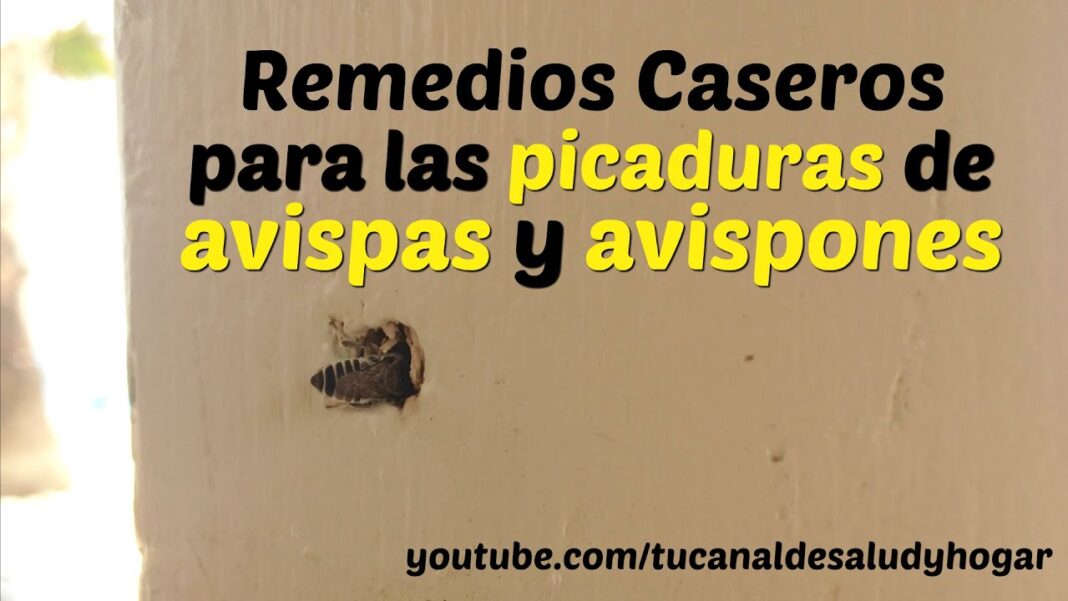 remedios-caseros-para-la-picadura-de-avispa