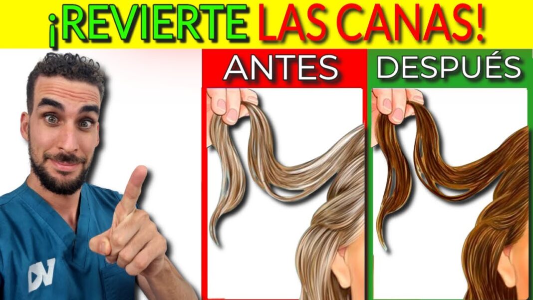 remedios-caseros-para-las-canas