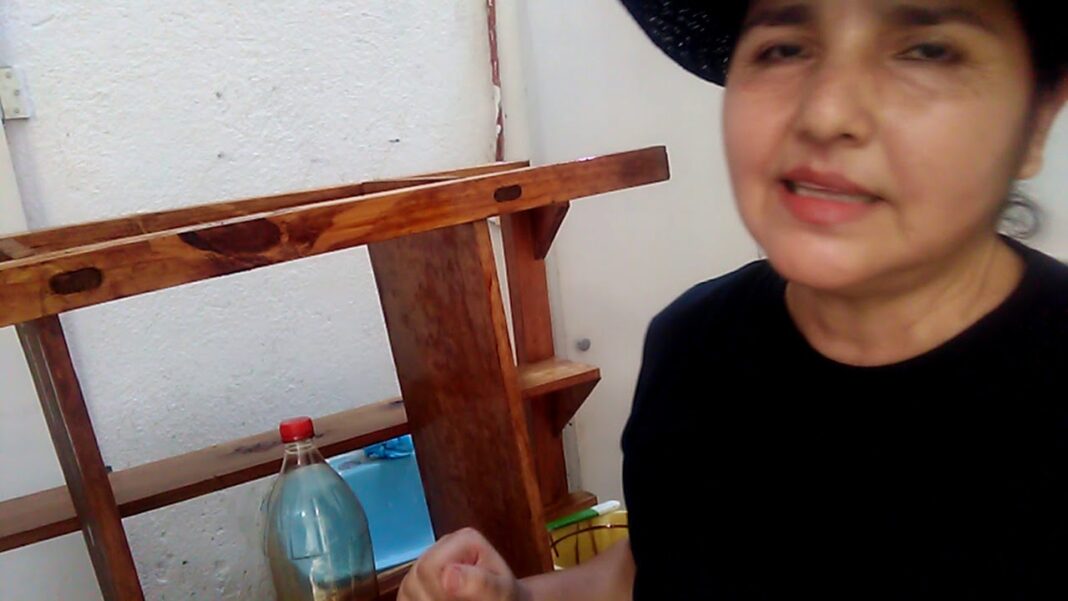 remedio-casero-para-las-polillas-de-la-madera