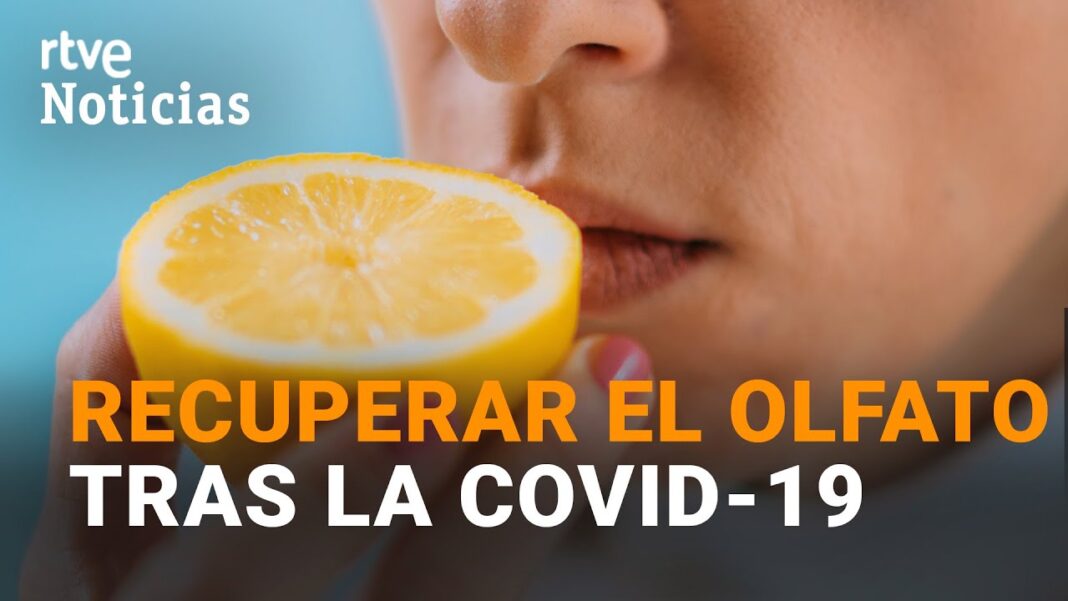 remedios-caseros-para-curar-la-perdida-del-olfato