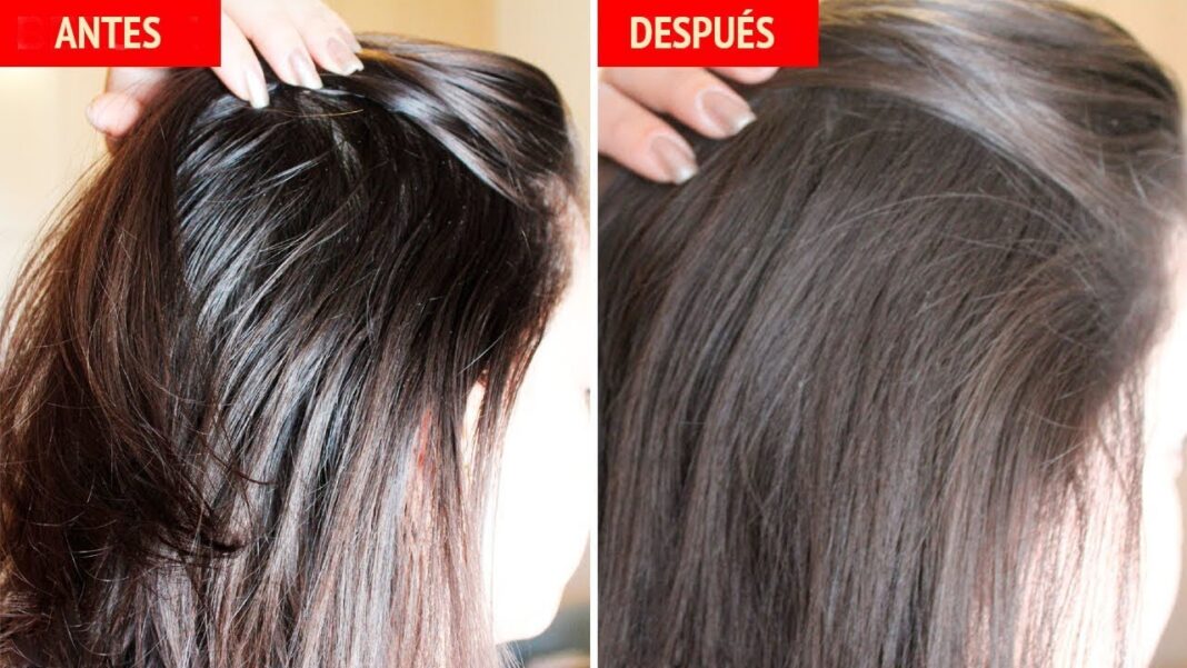 remedios-caseros-para-quitar-la-grasa-del-pelo