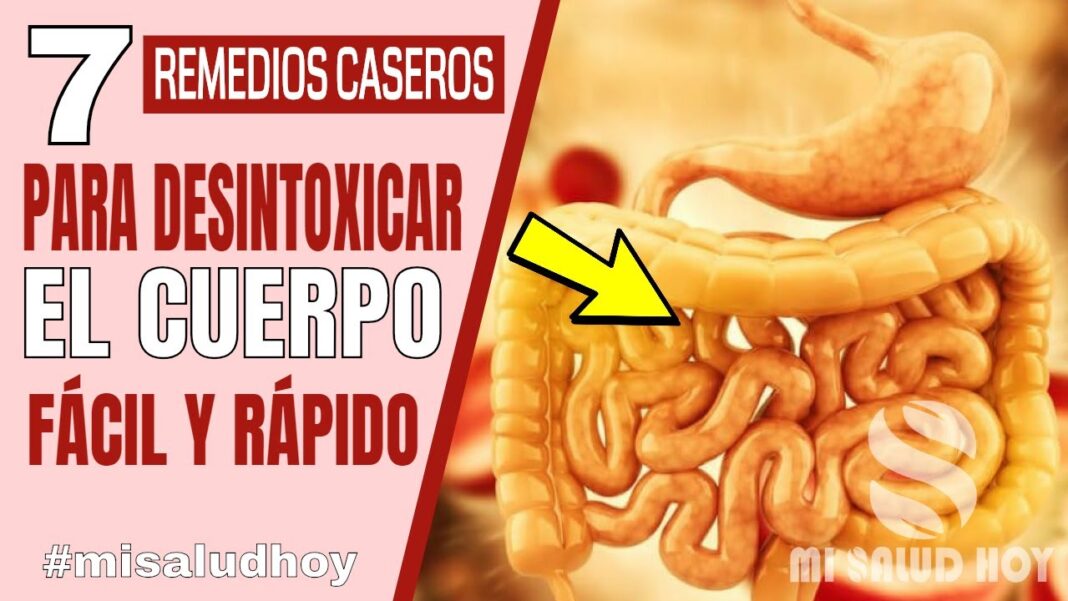 Desintoxicar-el-cuerpo-remedios-caseros