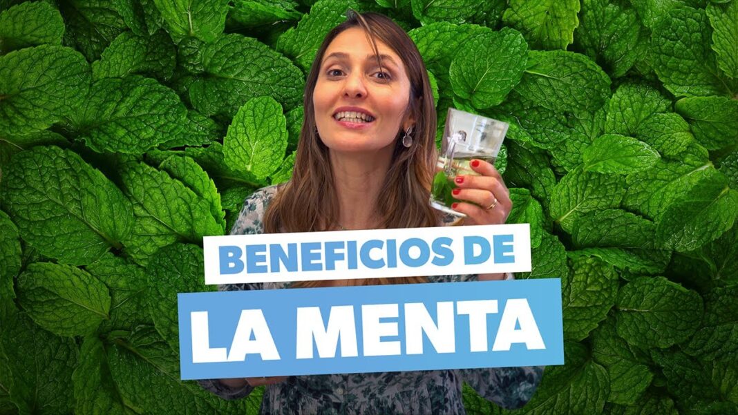 Menta-remedio-casero-1