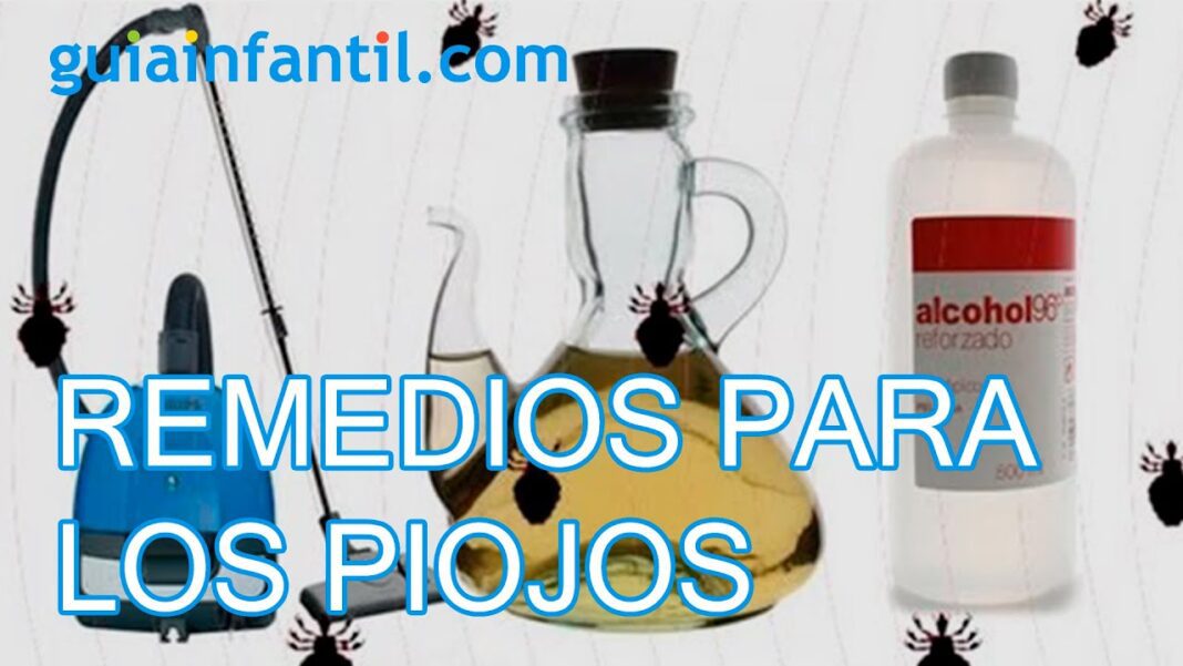 Que-remedio-casero-es-bueno-para-los-piojos