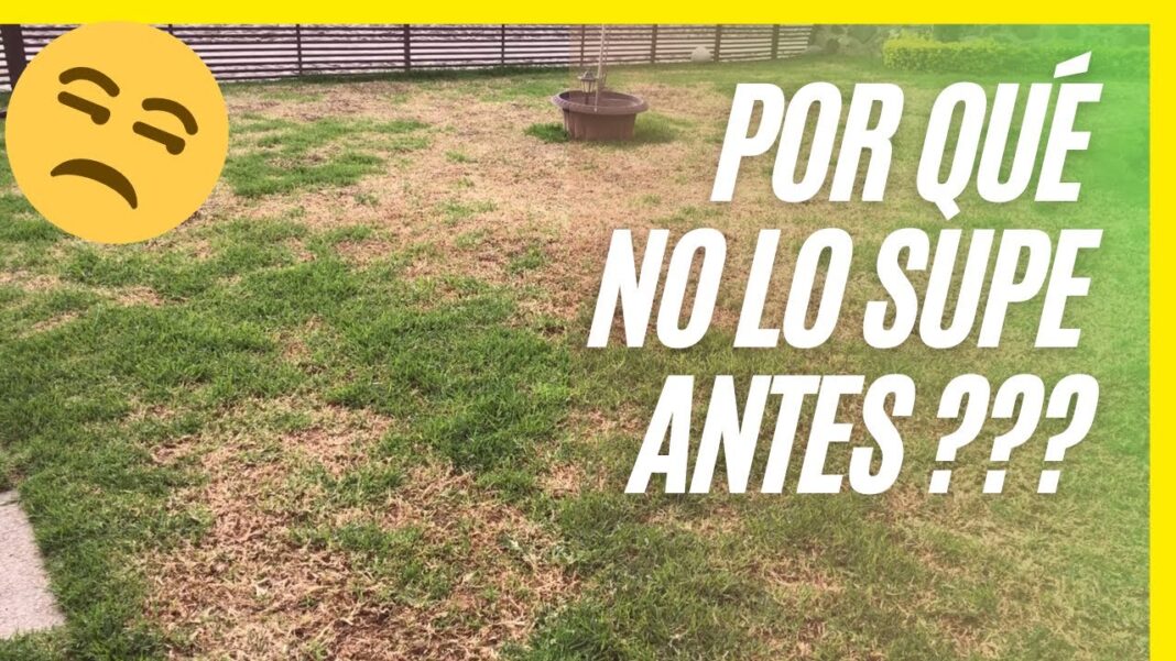Remedio-casero-para-el-pasto-verde