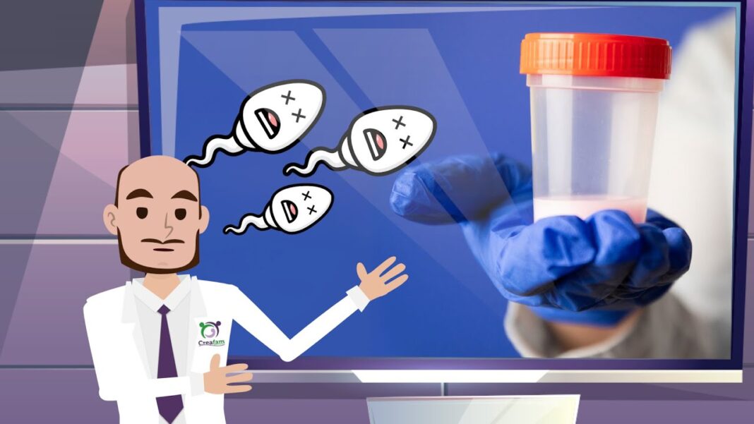 Remedio-casero-para-eliminar-espermatozoides