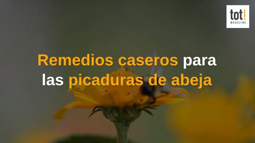 Remedio-casero-para-picadura-de-abeja