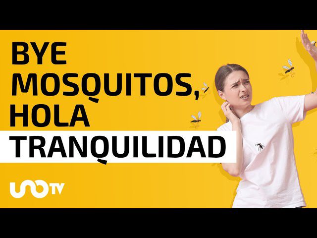 Remedio-casero-para-picaduras-de-mosquitos