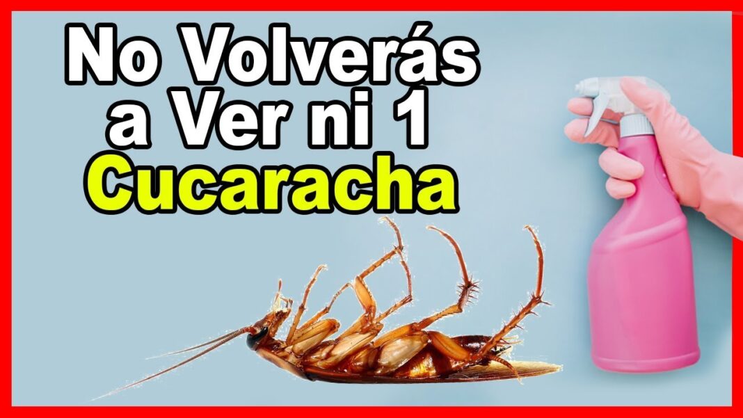 Remedios-caseros-para-ahuyentar-cucarachas
