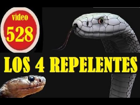 Remedios-caseros-para-ahuyentar-serpientes