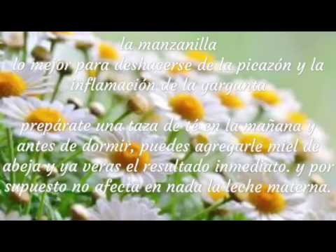 Remedios-caseros-para-dolor-de-garganta-en-la-lactancia