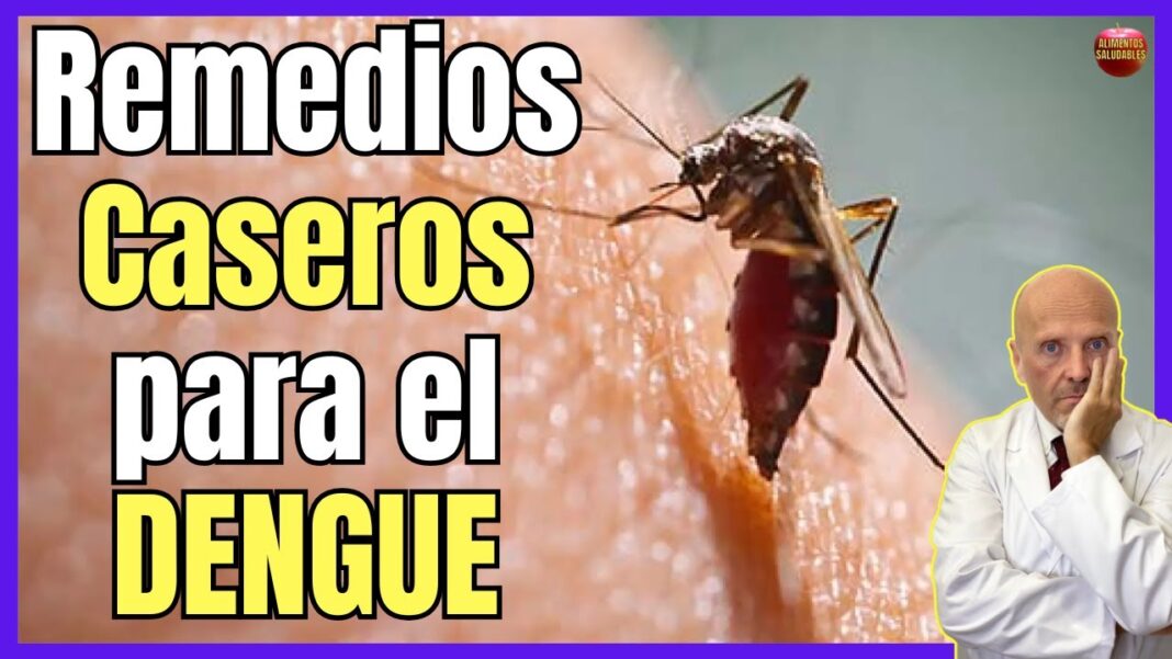 Remedios-caseros-para-el-dengue