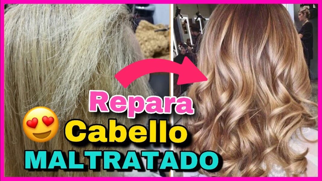 Remedios-caseros-para-el-pelo-seco-y-danado