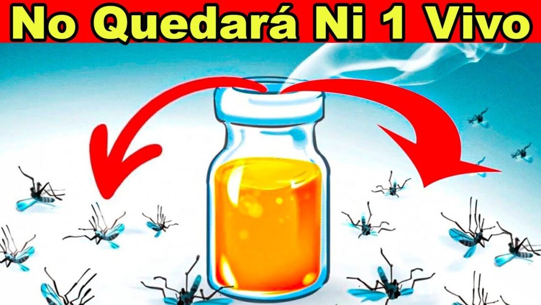 Remedios-caseros-para-eliminar-zancudos