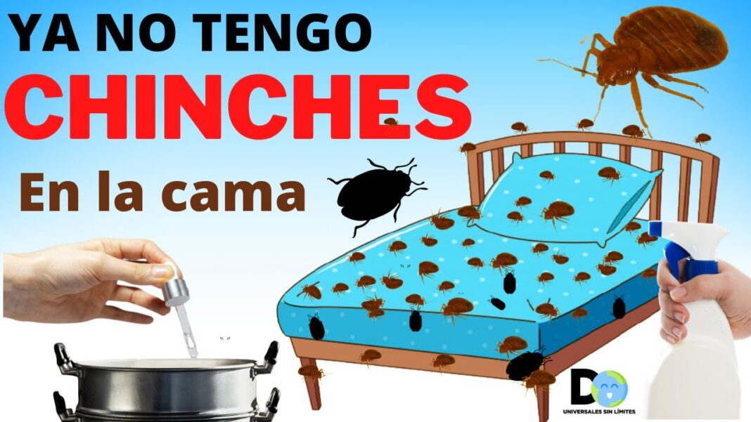 Remedios-caseros-para-las-chinches
