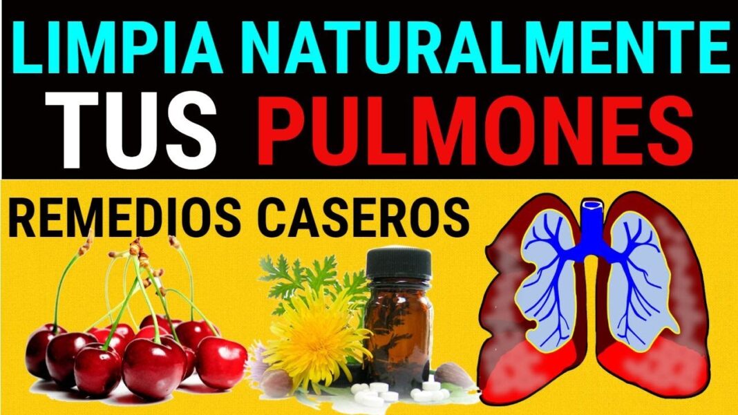Remedios-caseros-para-limpiar-los-pulmones