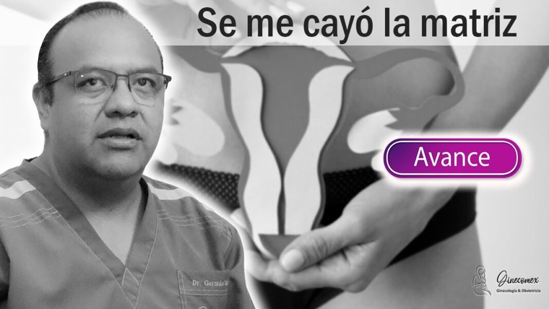 Remedios-caseros-para-los-ovarios-caidos