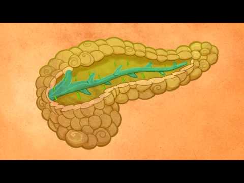 Remedios-caseros-para-pancreas