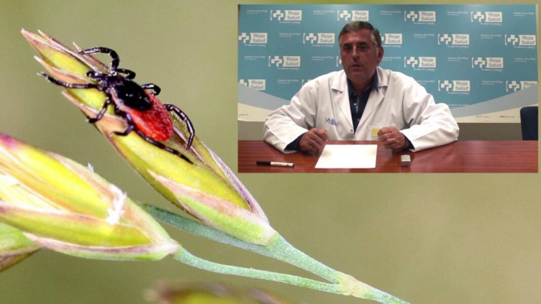 Remedios-caseros-para-picaduras-de-garrapatas-en-humanos