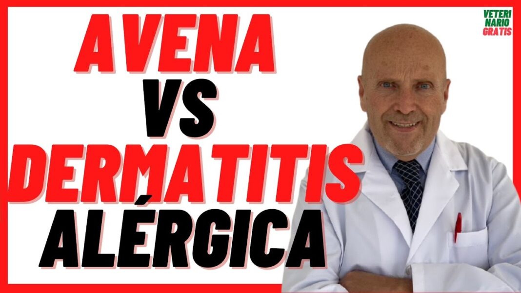 alergia-a-las-pulgas-en-perros-remedios-caseros