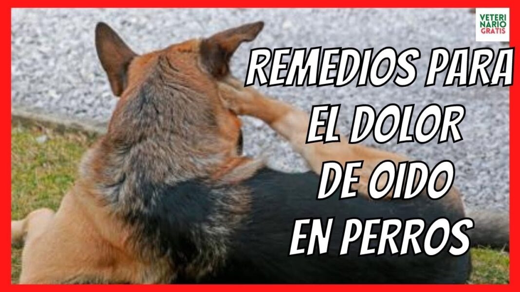 dolor-de-oido-remedios-caseros-vinagre
