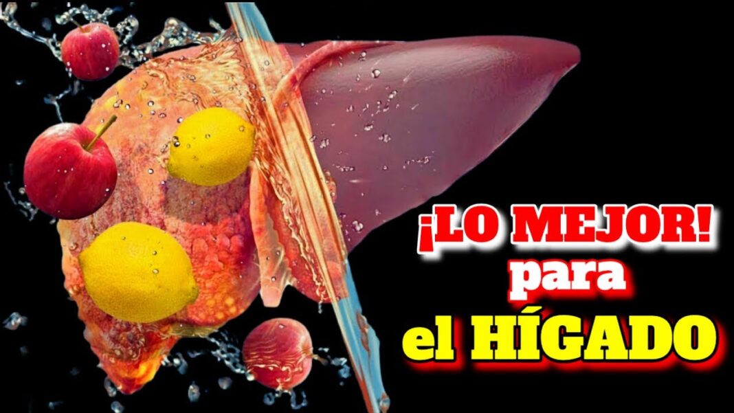 higado-grande-remedios-caseros