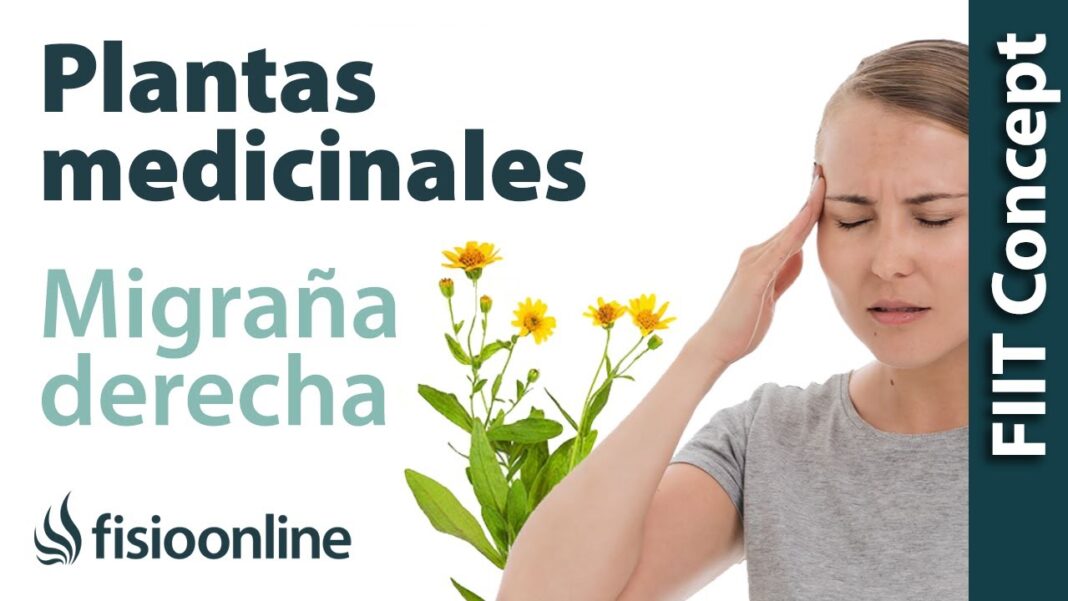 migrana-remedios-caseros