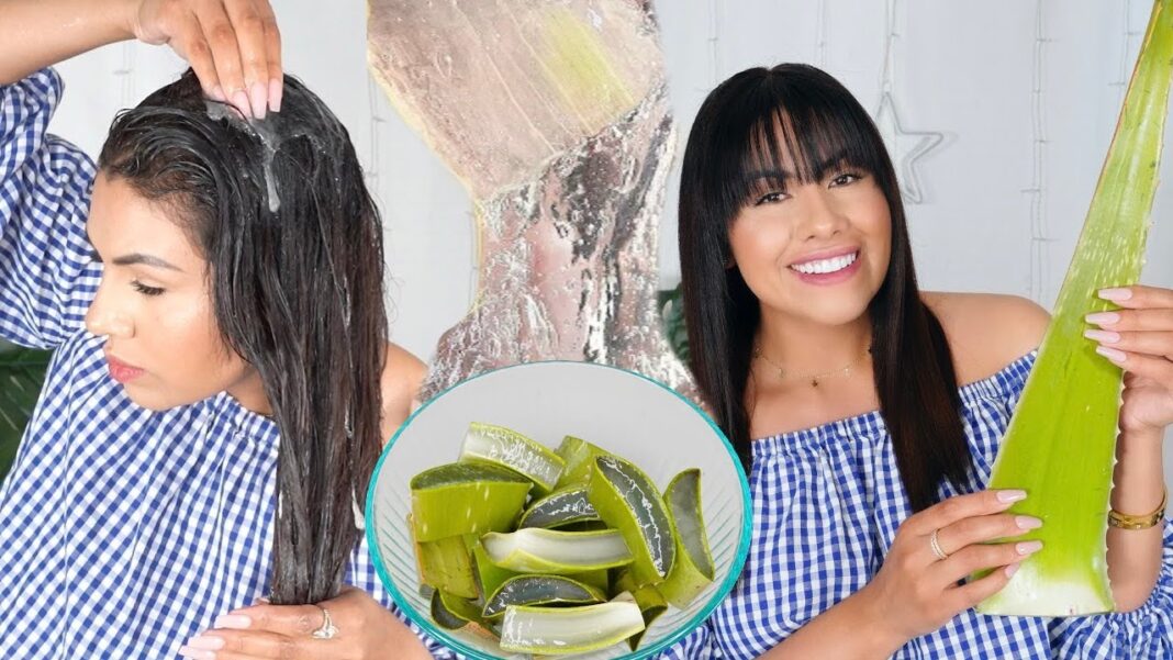 remedio-casero-con-sabila-para-el-cabello