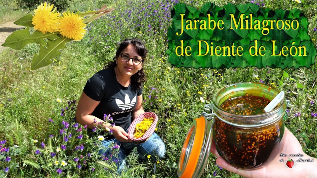 remedios-caseros-con-diente-de-leon