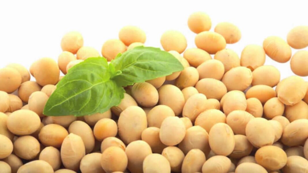 remedios-caseros-para-bajar-la-libido-en-el-hombre