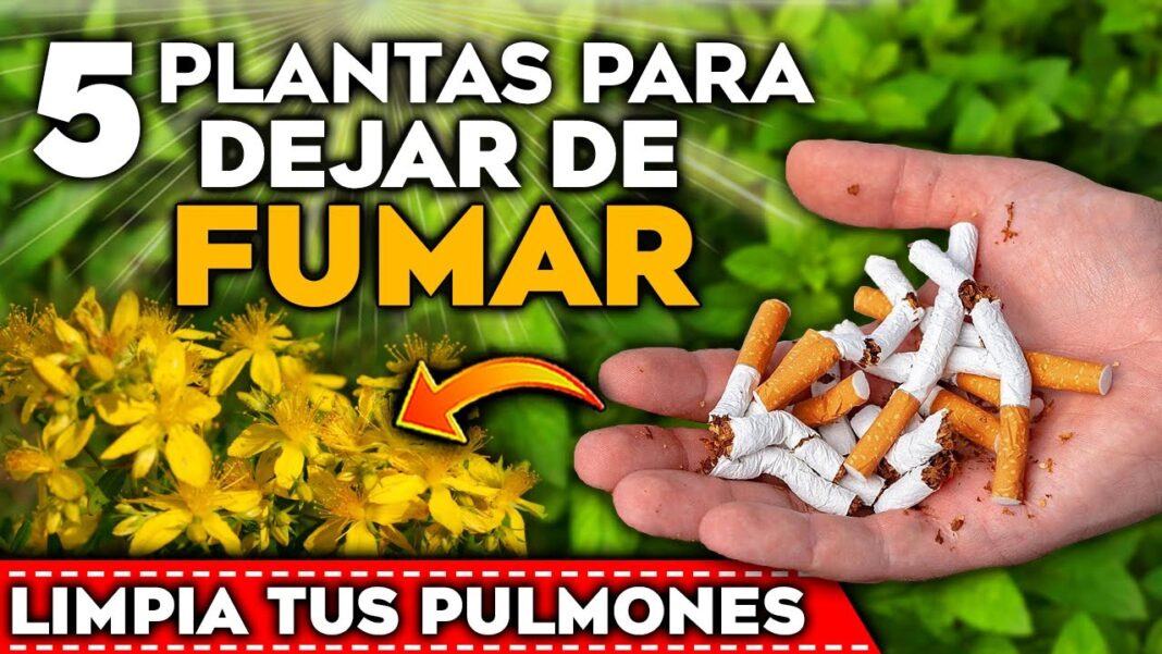 remedios-caseros-para-dejar-fumar