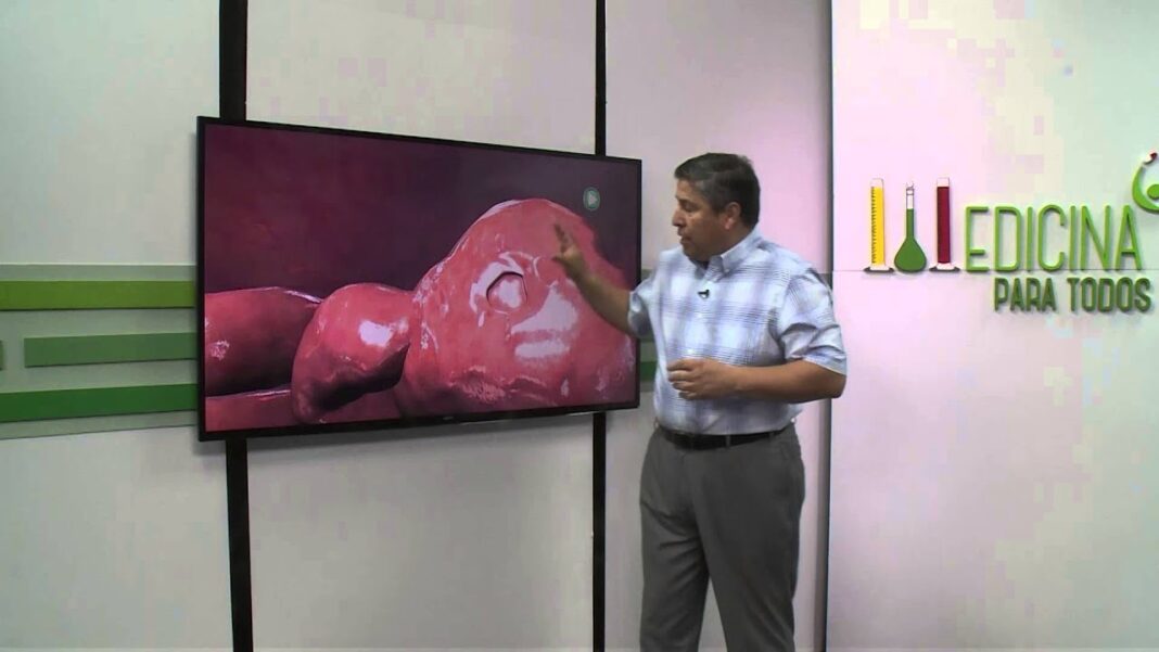 remedios-caseros-para-dolor-de-apendice