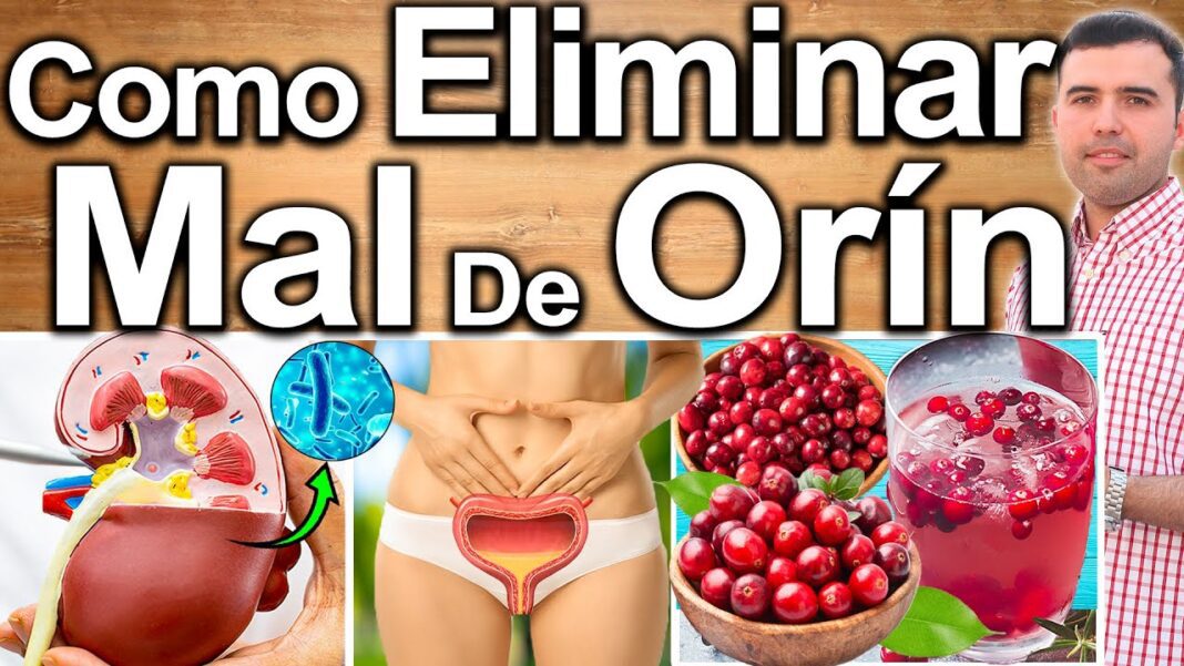 remedios-caseros-para-infeccion-en-vias-urinarias