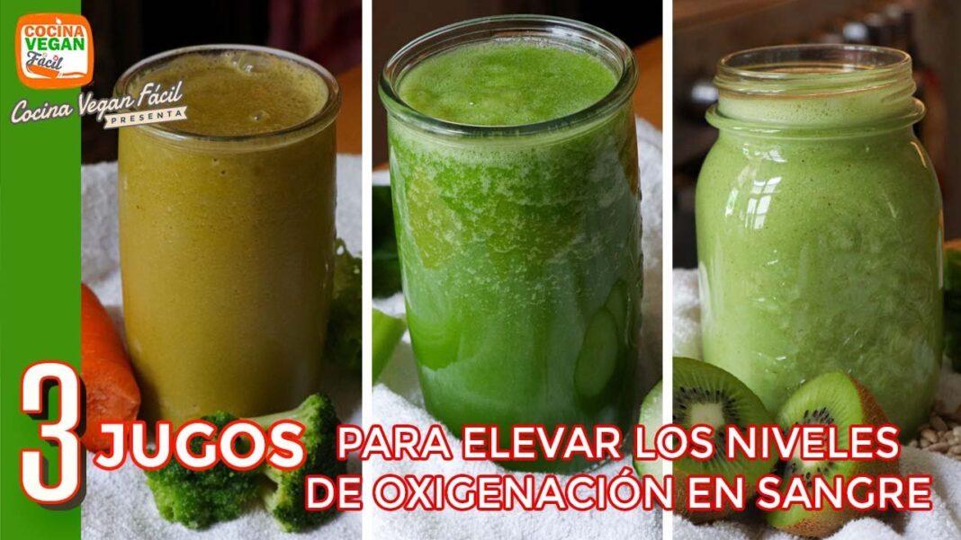 remedios-caseros-para-la-sangre