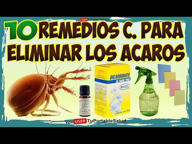 remedios-caseros-para-los-acaros