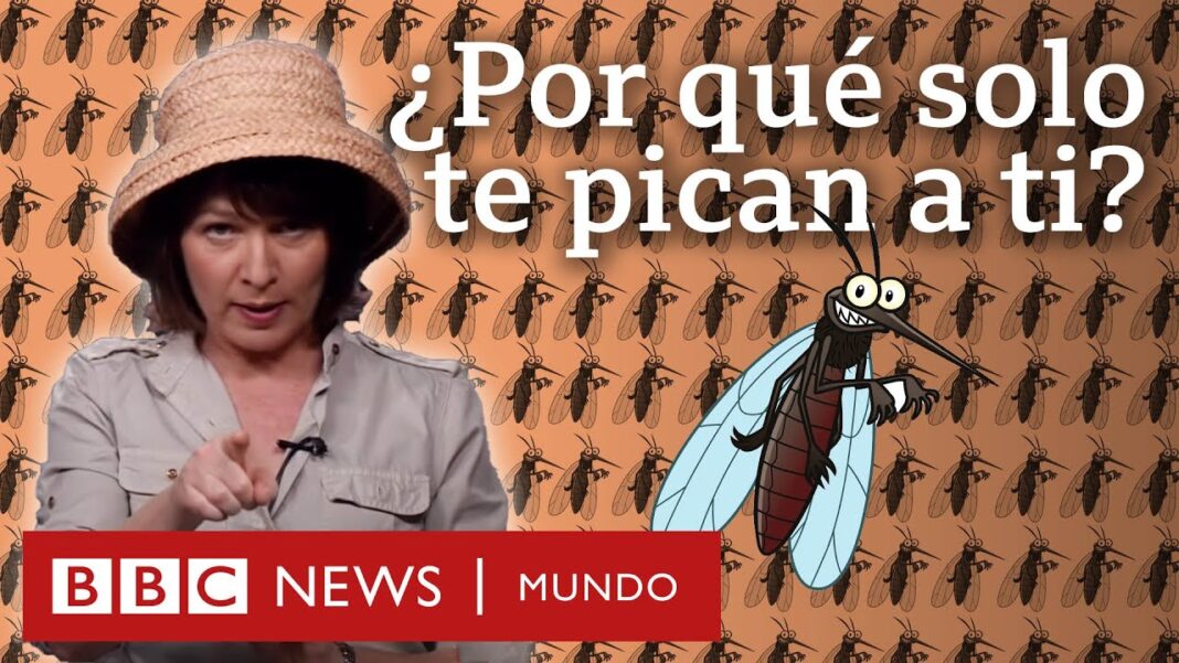 remedios-caseros-para-que-no-me-piquen-los-zancudos