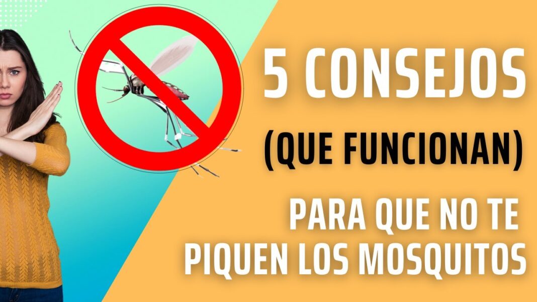 remedios-caseros-para-que-no-te-piquen-los-mosquitos