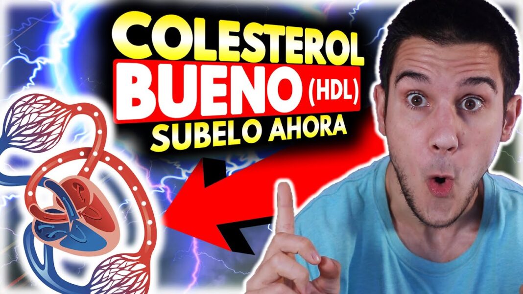remedios-caseros-para-subir-el-colesterol-bueno